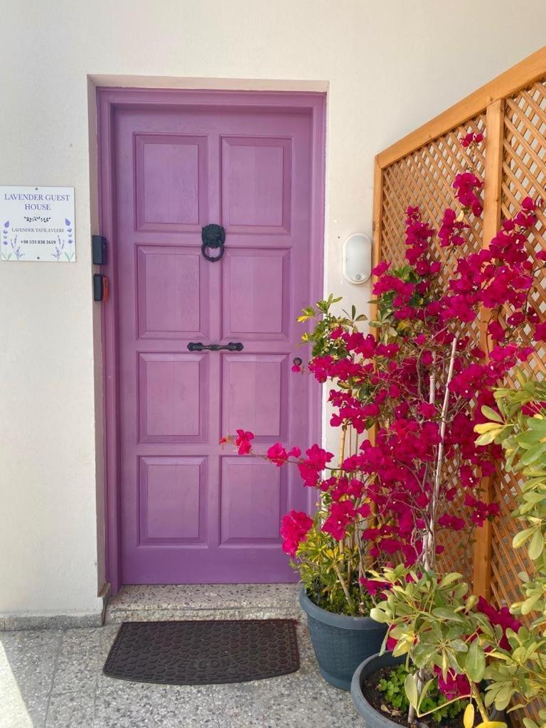 Lavender Homes, Walled City Famagusta (Northern Cyprus) Exterior foto